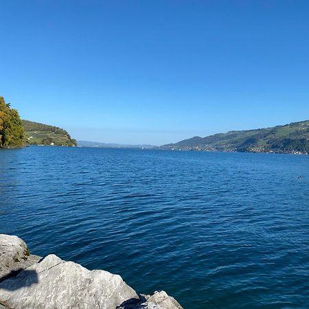 See Und Berge Family Faulensee Dış mekan fotoğraf